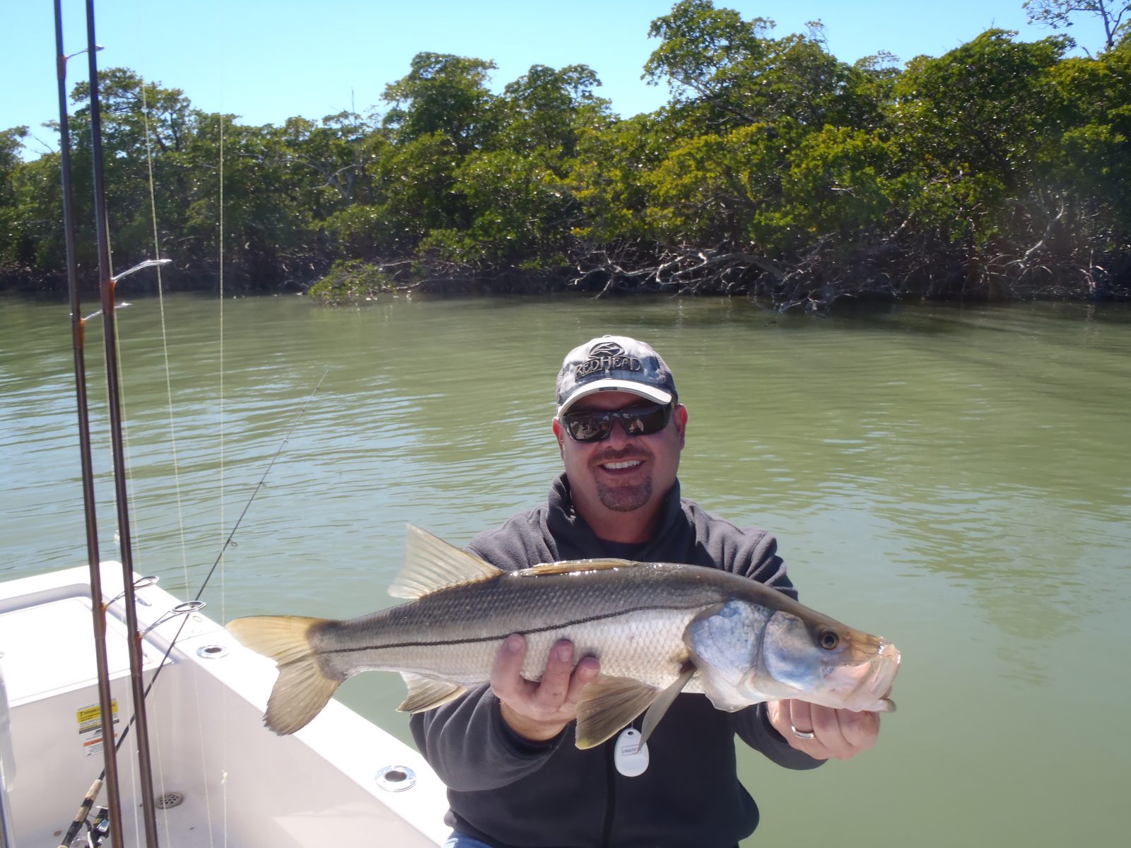 Florida Snook Fishing » Divine Naples