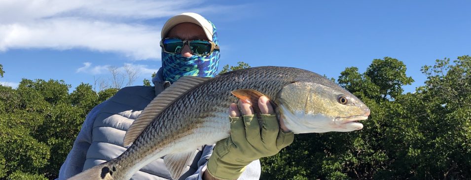Winter Redfish: Down Size Your Lures 